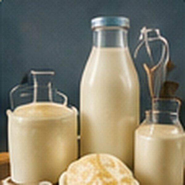 Milk & Dairy Shop